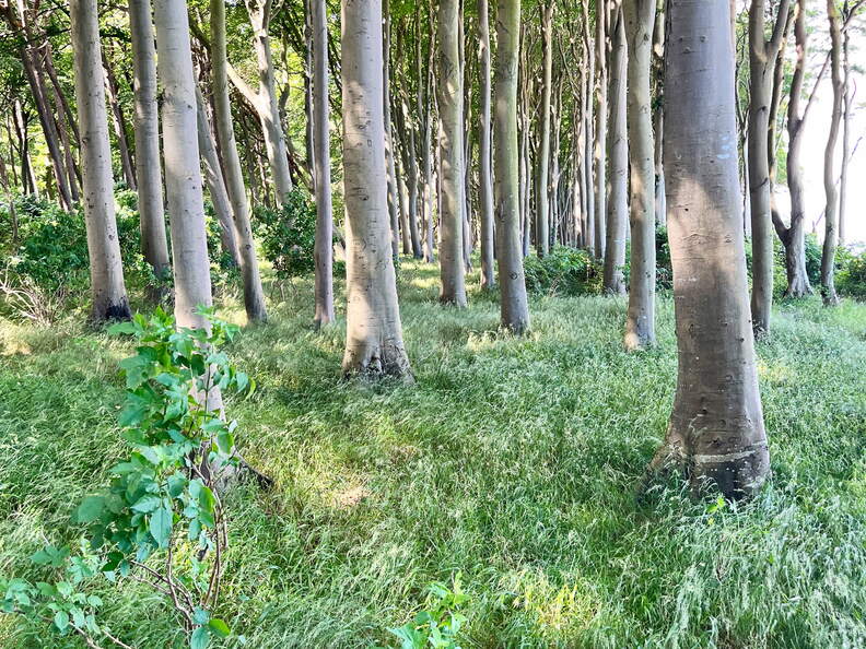 24-07-01 11-14-47 0053